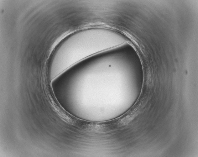 X0000087741458200705070914