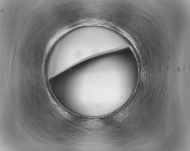 X0000087741464200705070914