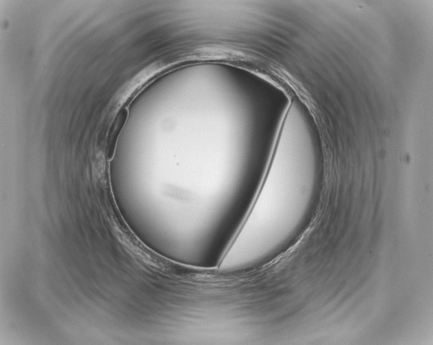 X0000087741465200705070914