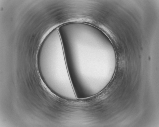 X0000087741468200705070914