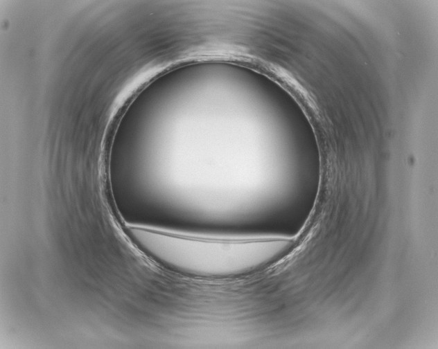 X0000087741469200705070914