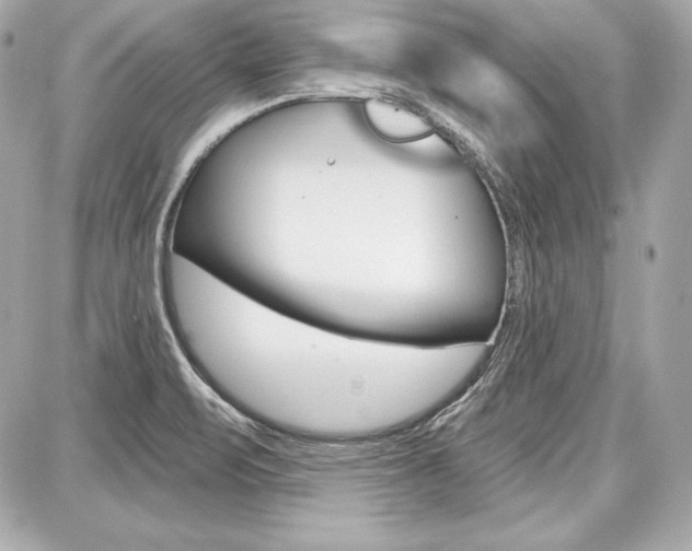 X0000087741471200705070914