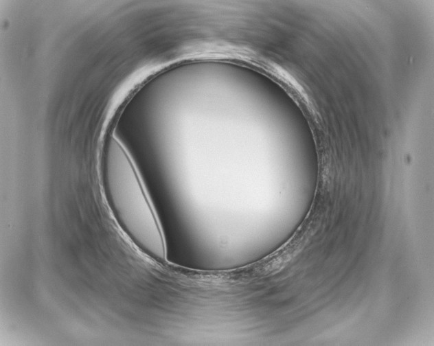 X0000087741472200705070914