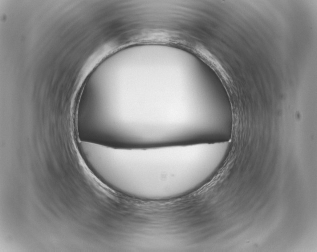 X0000087741475200705070914