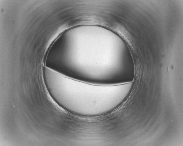 X0000087741476200705070914
