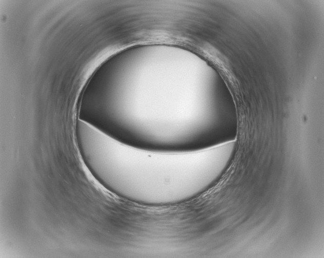 X0000087741479200705070914