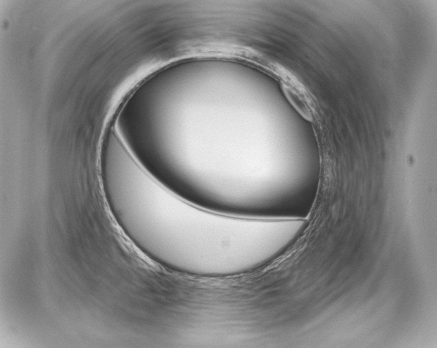 X0000087741480200705070914