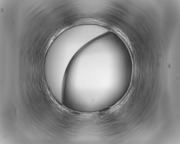 X0000087741481200705070914