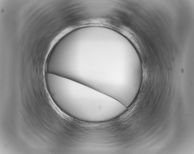 X0000087741482200705070914