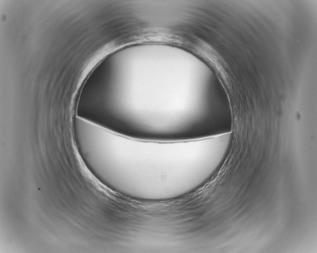 X0000087741483200705070914