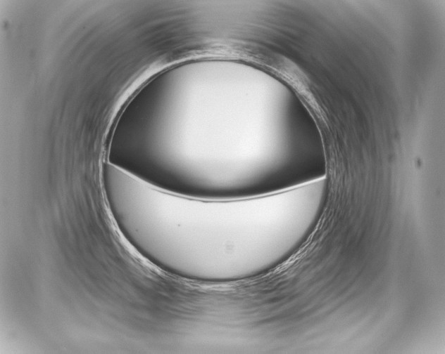 X0000087741484200705070914
