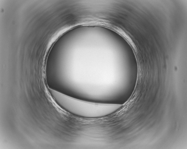 X0000087741485200705070914