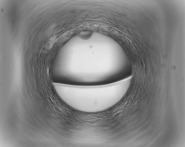 X0000087741489200705070913