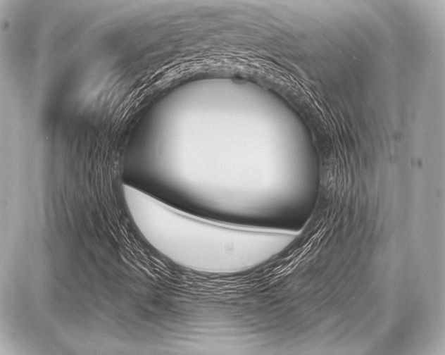 X0000087741490200705070913