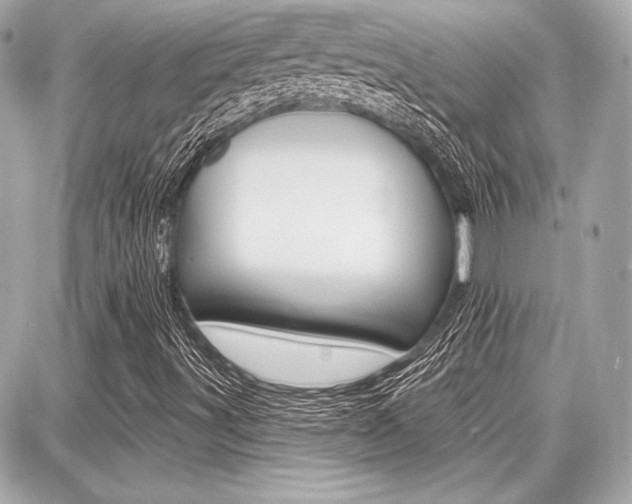 X0000087741491200705070913