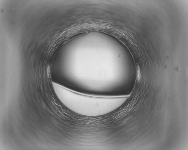 X0000087741492200705070913