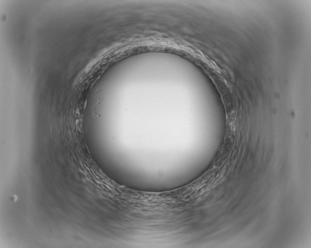 X0000087741495200705070913