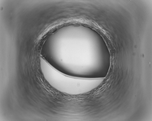 X0000087741496200705070913