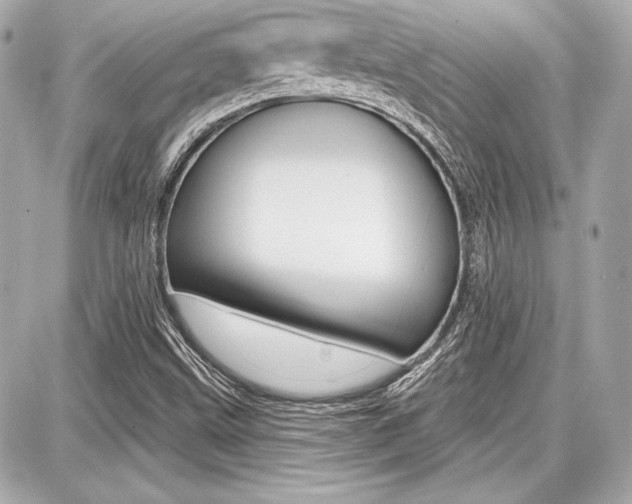X0000087741499200705070913