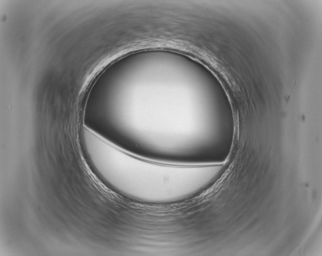 X0000087741500200705070913