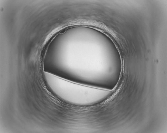 X0000087741501200705070913