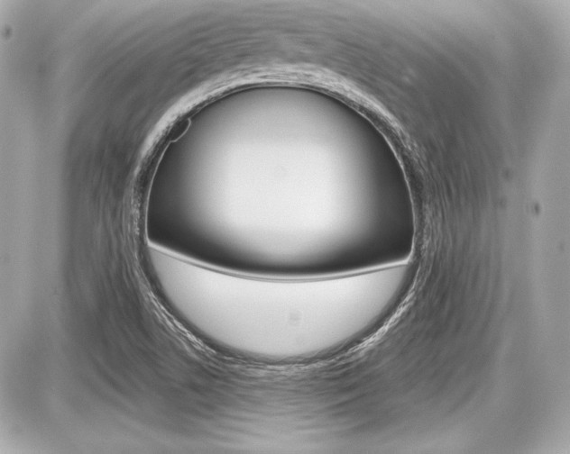 X0000087741506200705070913