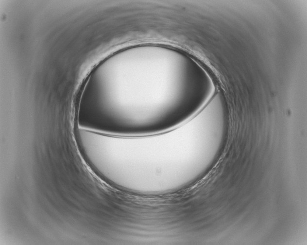 X0000087741508200705070913
