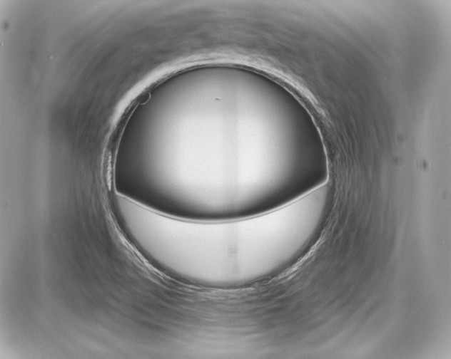 X0000087741510200705070913
