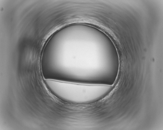 X0000087741513200705070913