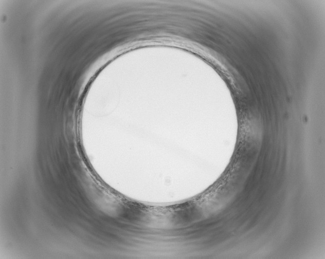 X0000087741514200705070913