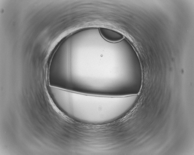 X0000087741515200705070913