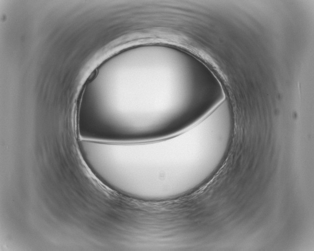 X0000087741516200705070913
