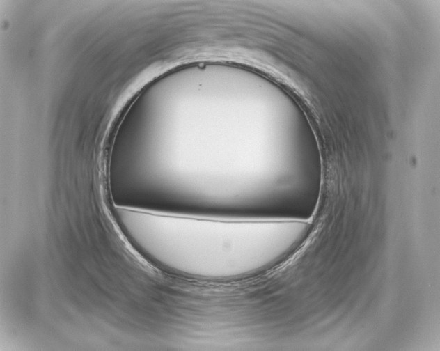 X0000087741517200705070913