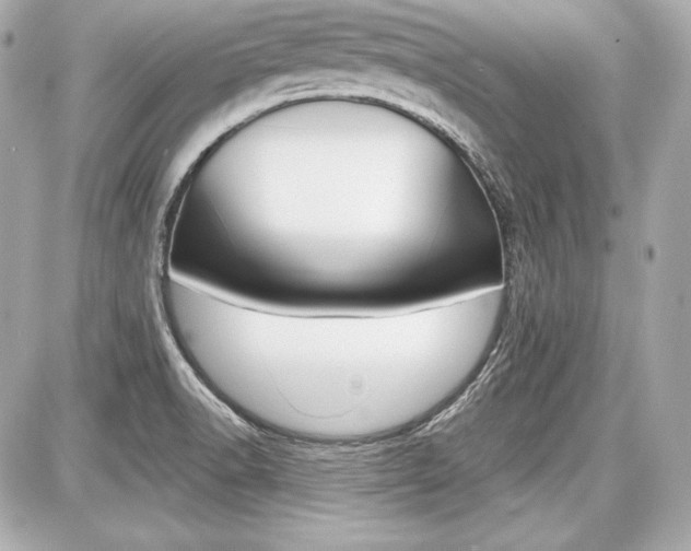 X0000087741518200705070913