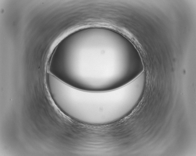 X0000087741520200705070914