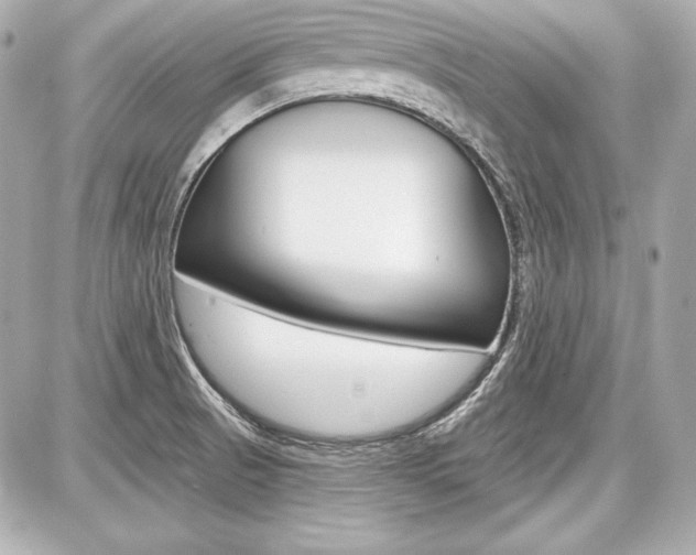 X0000087741521200705070914