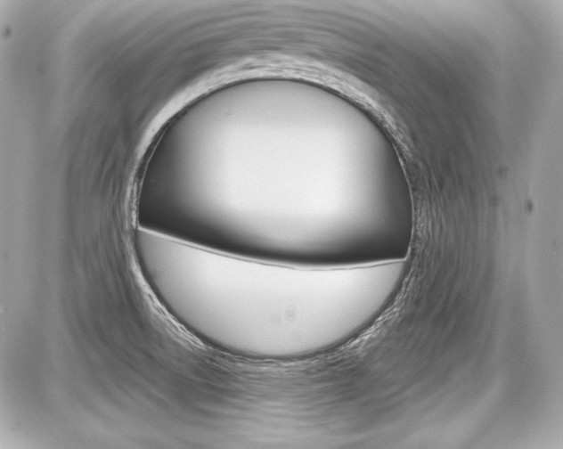X0000087741522200705070914