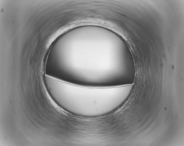 X0000087741523200705070914