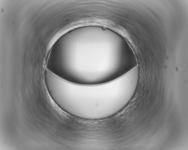 X0000087741524200705070914