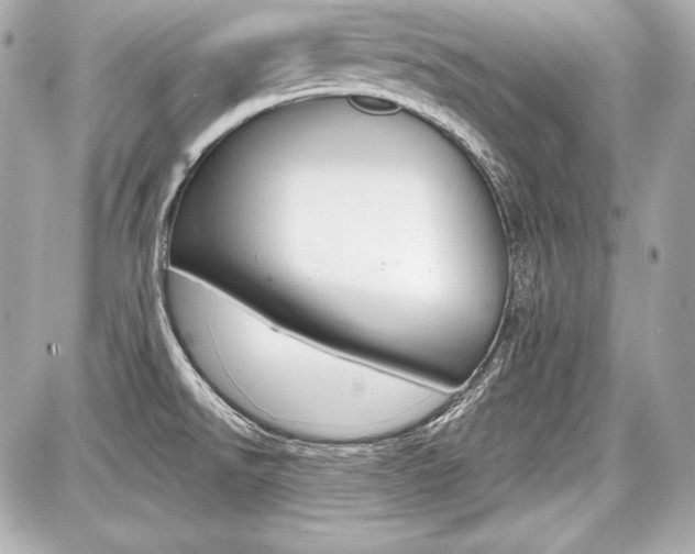 X0000087741526200705070914