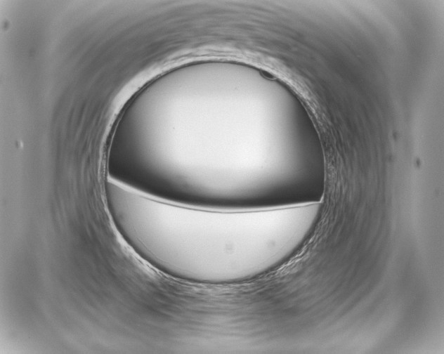 X0000087741527200705070914