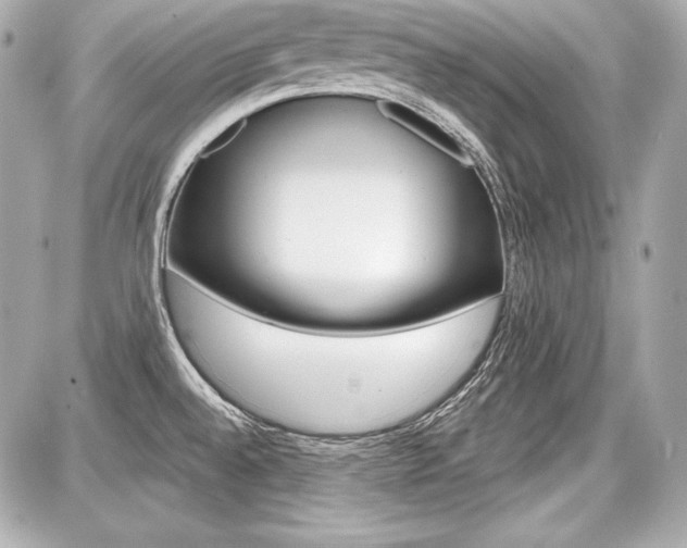 X0000087741528200705070914