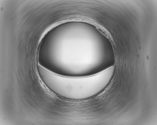 X0000087741530200705070914