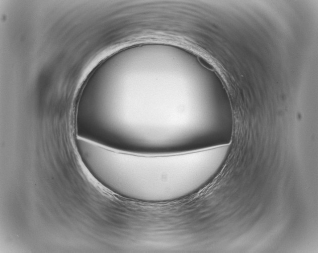 X0000087741531200705070914