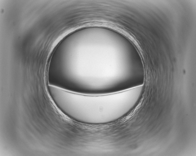 X0000087741533200705070914