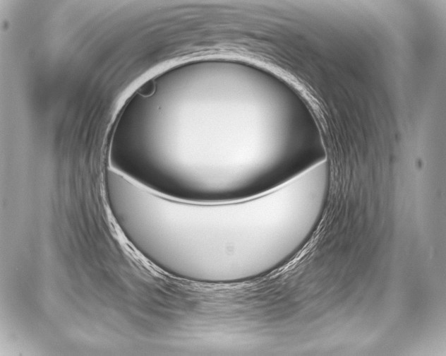 X0000087741534200705070914
