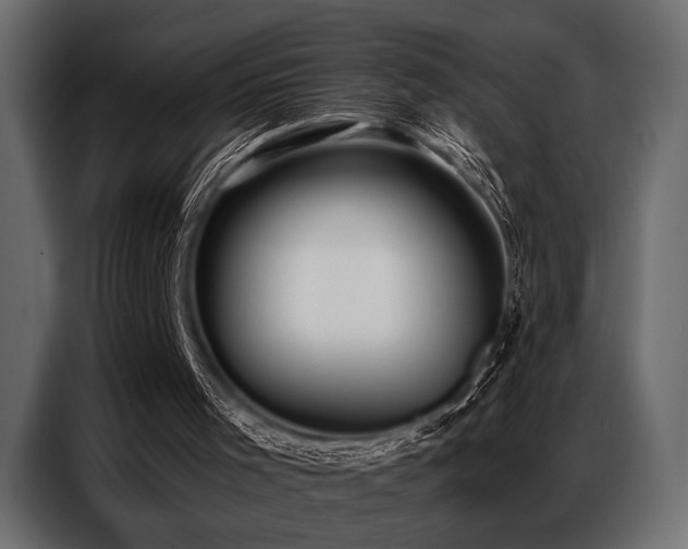 X0000087740001200705071102