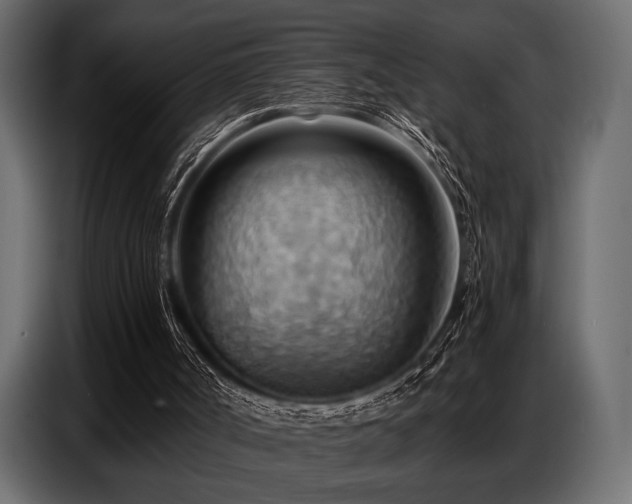 X0000087740002200705071102