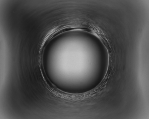 X0000087740003200705071102
