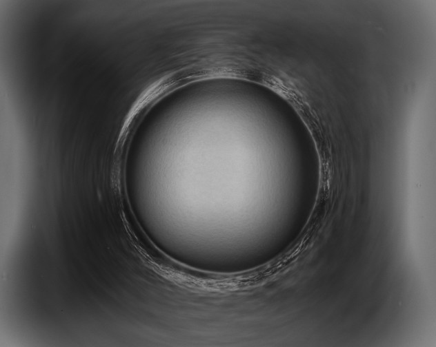 X0000087740004200705071102